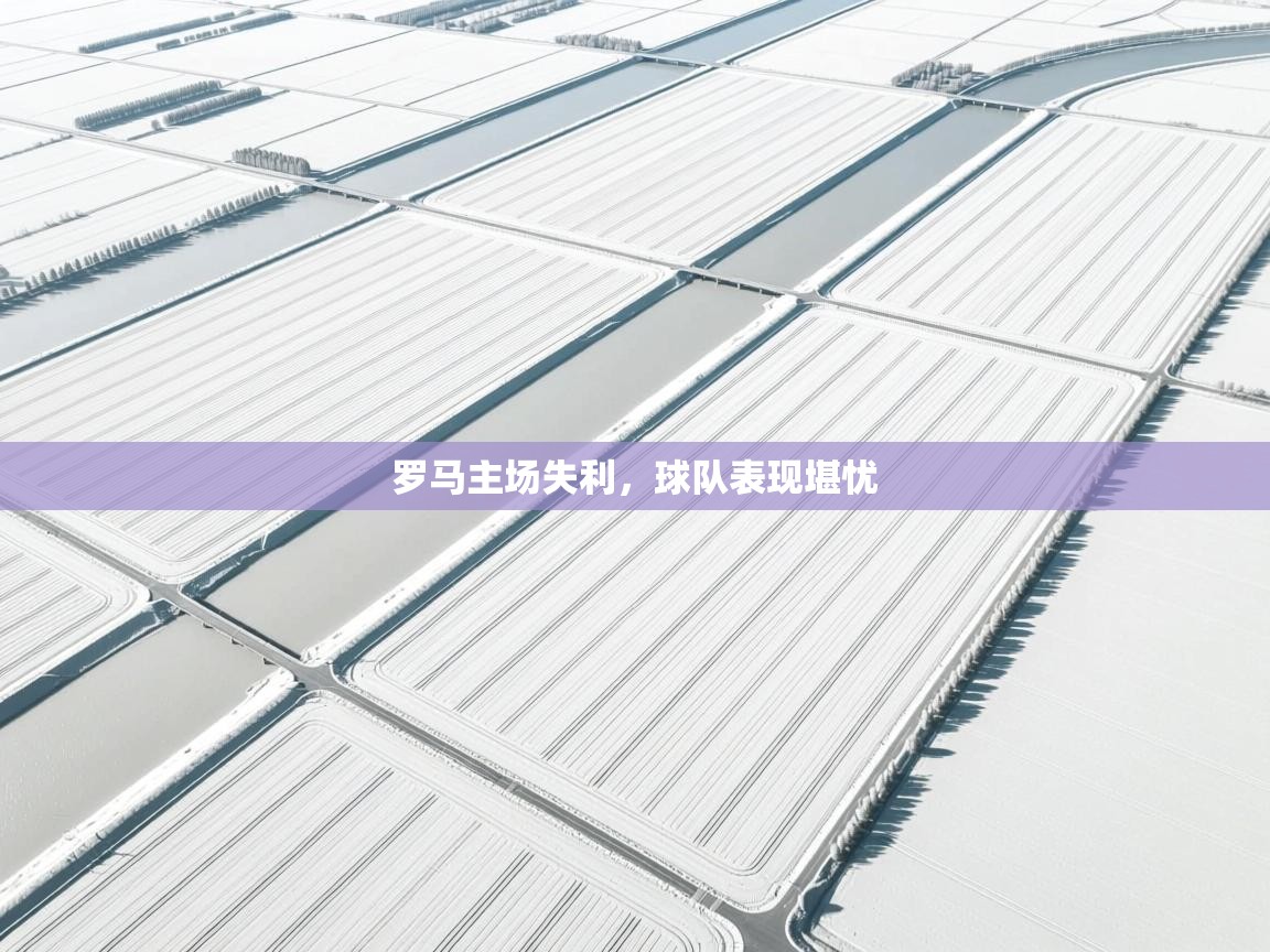 罗马主场失利，球队表现堪忧